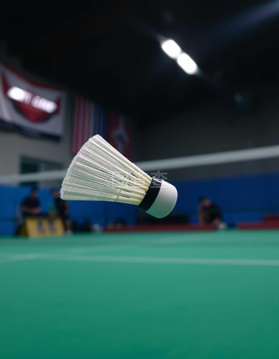 对米兰与马 对米兰与马