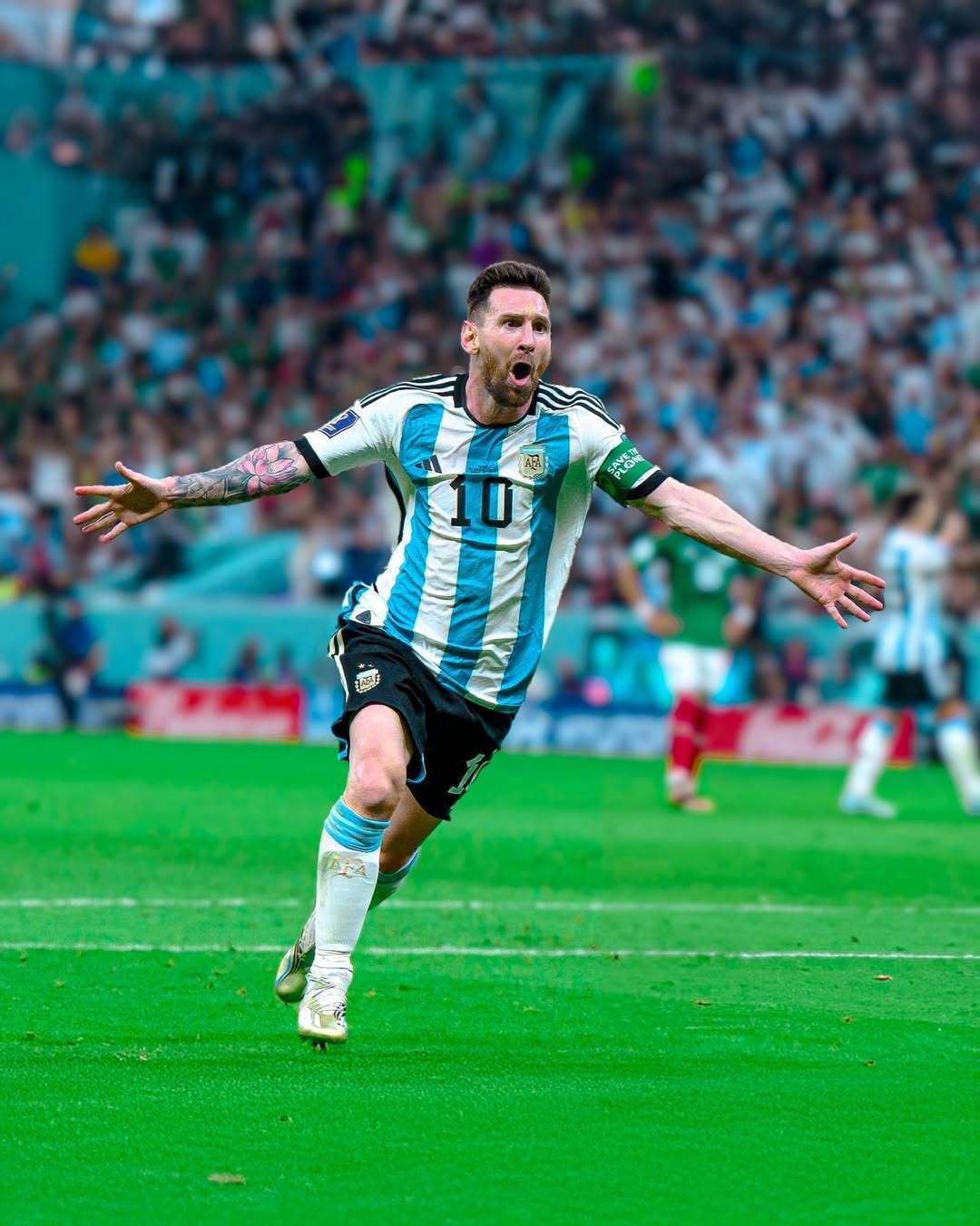 上已有成熟 上已有成熟